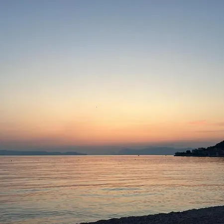 Tim أوروبيتش